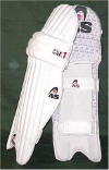 [These are Cricket Pads]